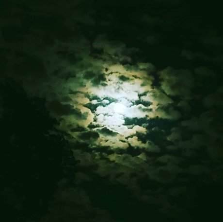 MelaninHellion perfect model pics