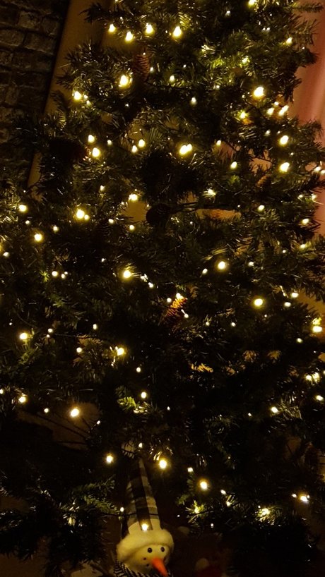 Alexandr Zolotov adult model image