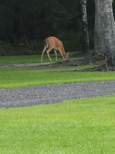 New start pornstar nude photo