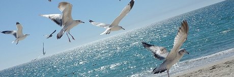 Aneth michel model xxx pics