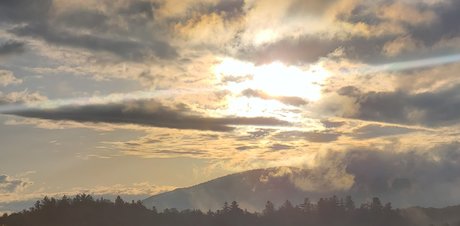 Adirondack Bear star porn pics