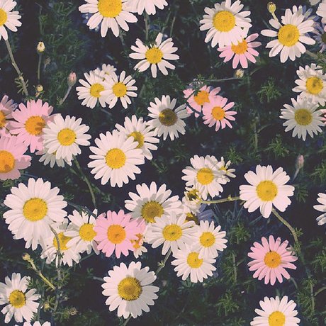 Ally Aimes_ exclusive star picture