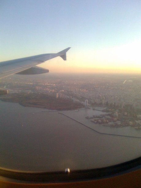 Aguspiney_ star art gallery