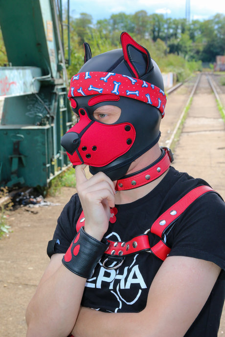 Skylar the cute Puppy model nude pictures