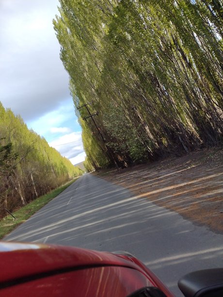 Catarsis nudes model photo