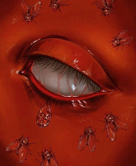 Leishay xxx actress picture