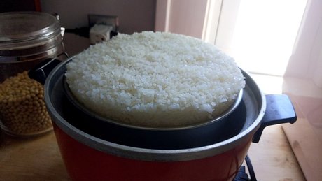 OnlyFeesh exclusive pornstar photos