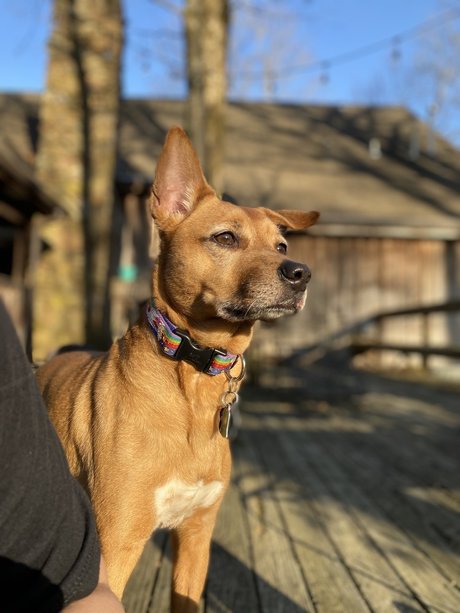 Kat G xxx actress galleries