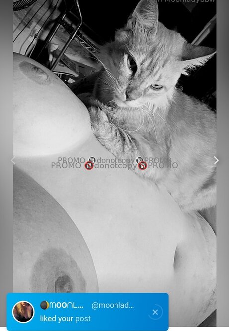 One Sweet One_ model high quality photo