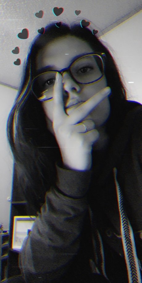 Amaryllis Rose model free photo