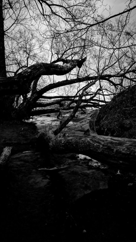 Faceless erotic pornstar image