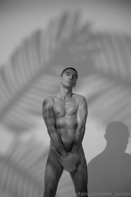 Alek Sandar xxx model image