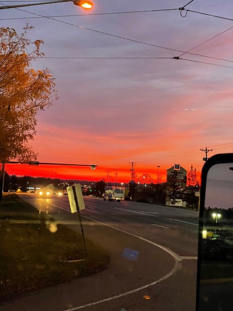 Rough Rican pretty model archive