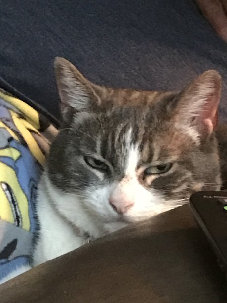 Pussyeater best model pictures