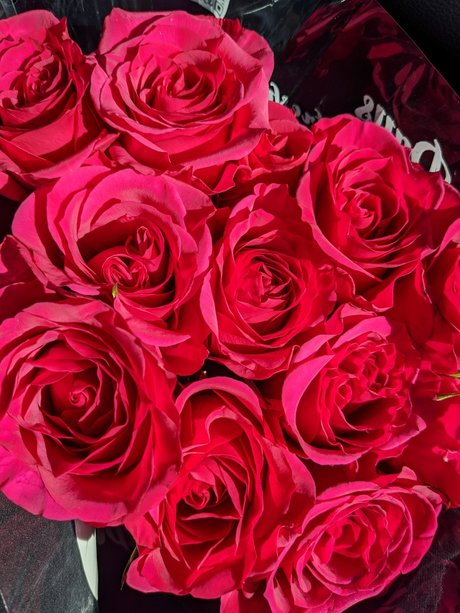 Alitalia Cass model best img