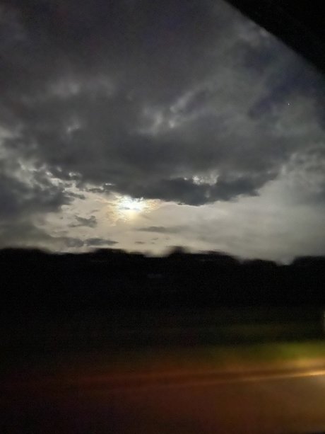 oralgoddess star nice img