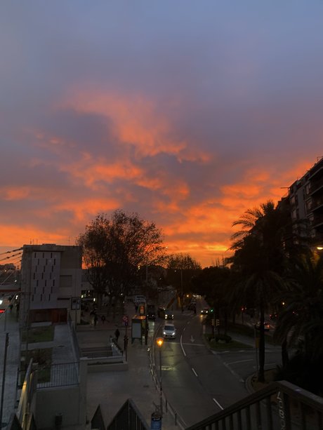 Mork star nudes picture