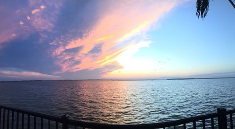 Ace Atlantic pornstar art pictures