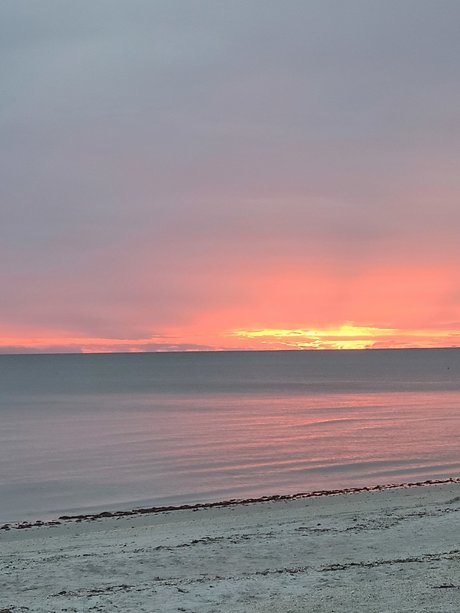 Pastel Pearl sex actress image