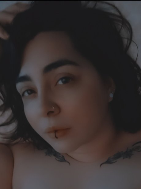 Panini Pixi model top img