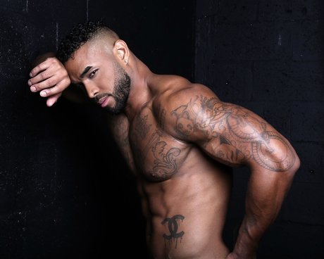 Panda Daddy model art img