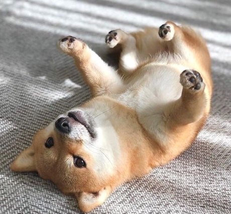 interracial pawg onlyfans porn galleries