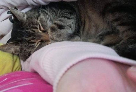 Sugar Addict model art gallery