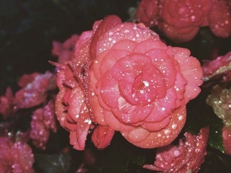 peachy babe pornstar sexy picture