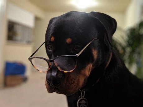 Daddy Sim_ xxx model pictures