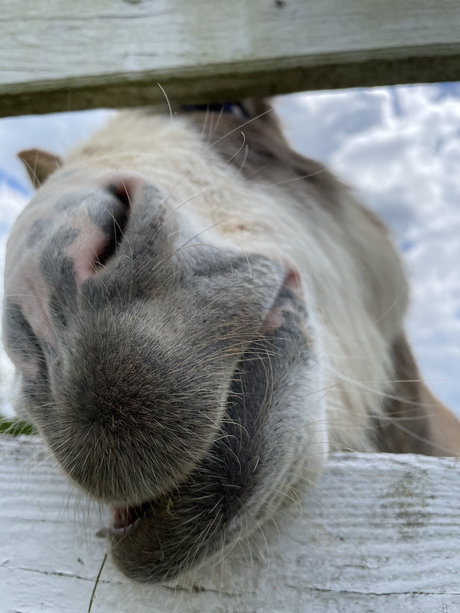 DaddyLongLegz sexy pornstar picture