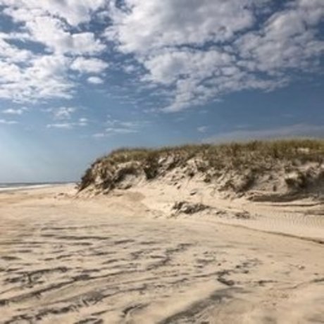 beach bum 102019 perfect actress picture