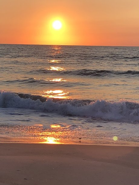 beach bum 102019 naked star pic