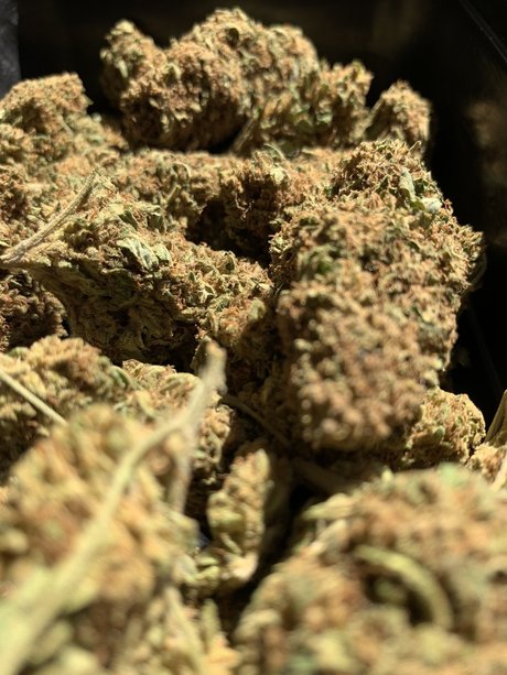 DaddyWood pornstar hot pic