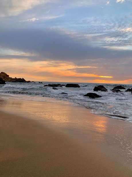 Stefania Pink art star gallery