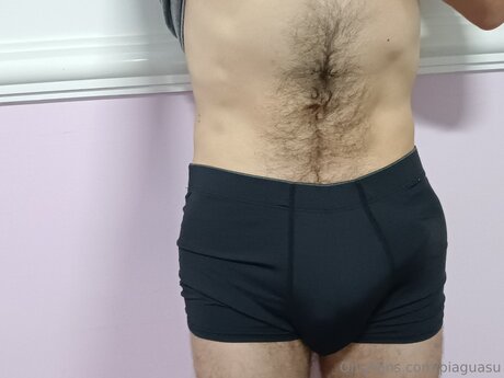 Pi Guasu erotic pornstar image