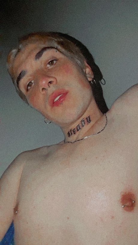 PHOLLO FREE_ star adult images