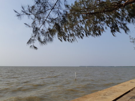 Chiba star adult picture