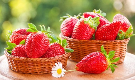 Playful fetish art model gallery