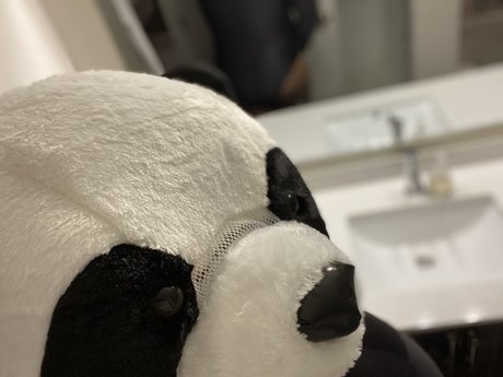 PlayBear model erotic archive