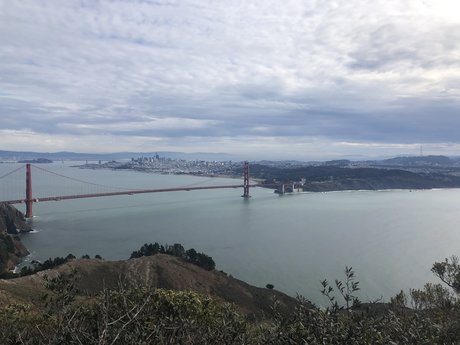 PlantDaddy SF pretty pornstar archive