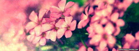 cutie pie model nudes picture