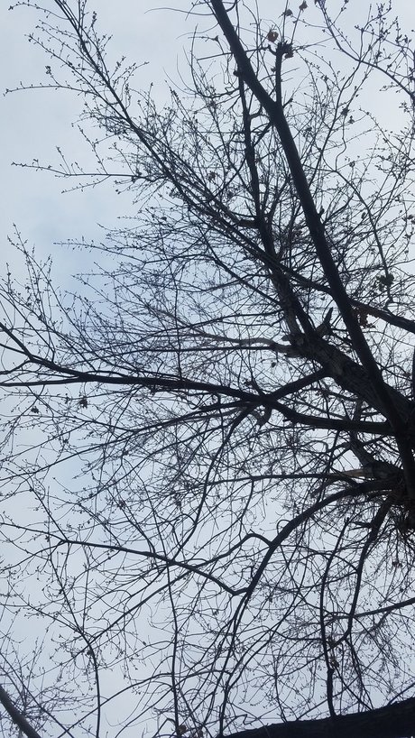 Daddy s Little Witch pornstar nudes photo