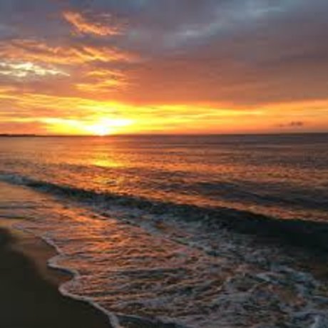 Daniel Mar pornstar xxx pics