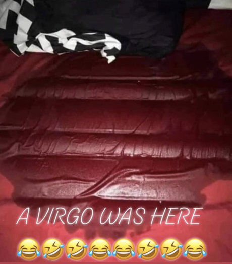 Pretty Black Kitty exclusive star image