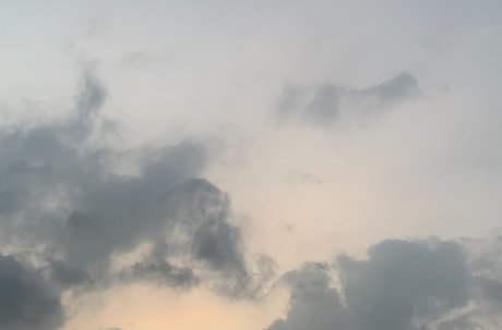 Ms Dango xxx pornstar picture