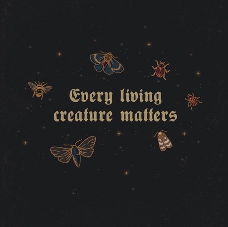 Tokyo_ free star gallery