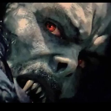 Cooch star perfect pic