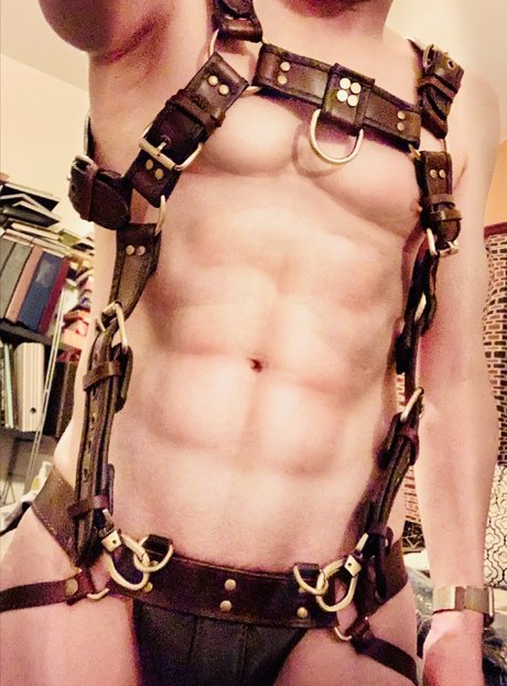 Preston Stone star perfect picture