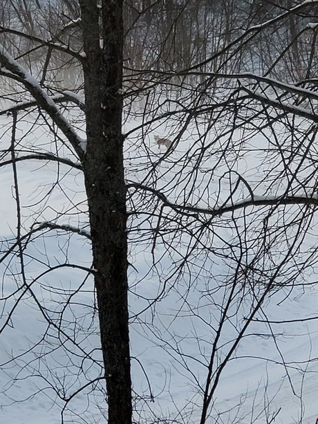 Couple6225 exclusive star photo