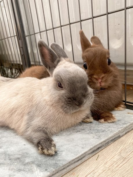 big tits nerd onlyfans nude images